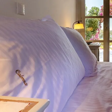 Calmea Seafront - Secluded Alikí