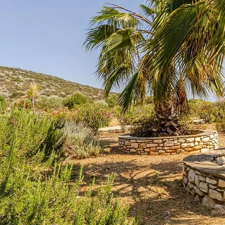 Villa Calmea Seafront - Secluded Alikí