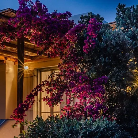 Calmea Seafront - Secluded Parikia (Paros)